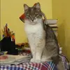Отзыв от Фаина Логинова